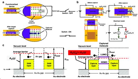 Schematic Representation Of The Working Principle Of The Nanogap