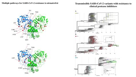 Eric Topol On Twitter More Signs That Paxlovid Resistance May Be On