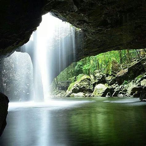 Springbrook National Park Perth Brisbane Melbourne Gold Coast