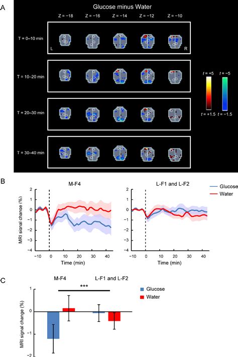 Figure 6 From Functional Subdivisions Of The Hypothalamus Using Areal