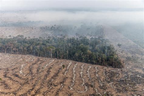 Multas do Ibama por queimadas na Amazônia e Pantanal atingem recorde