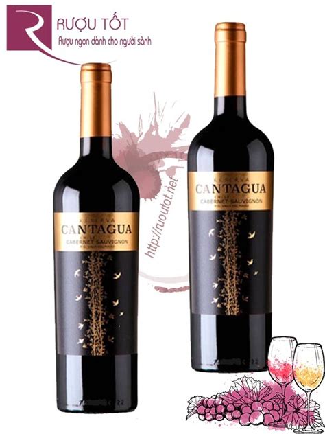 R U Vang Cantagua Reserva Cabernet Sauvignon Cao C P