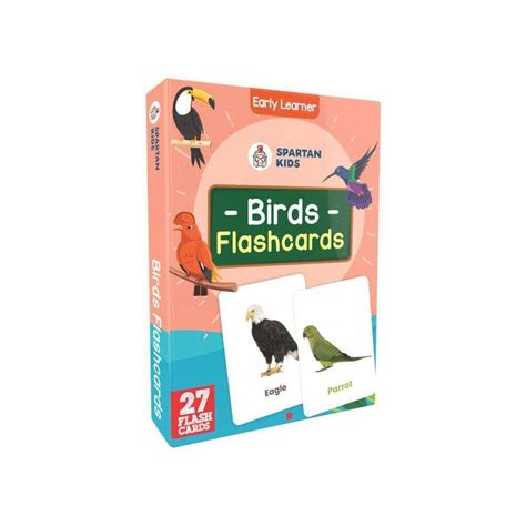 Birds Flash Cards | 27 Early Learning Flash Cards for Kids