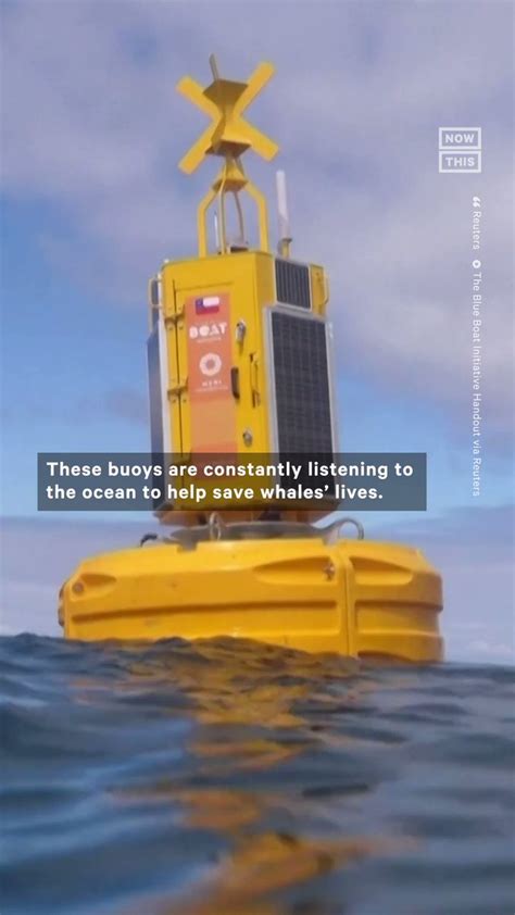 Mrg Mikanton On Twitter Rt Nowthisnews These Buoys Are Helping Save