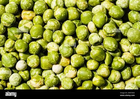 Garden Pea Pisum Sativum Peas Stock Photo Alamy