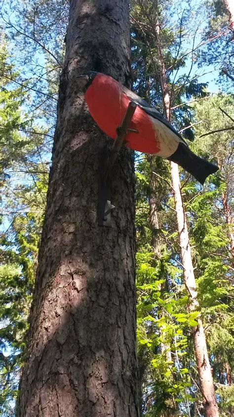 Lillhagsskolans Fritidshem Heldags Utflykt Till Hemlingby Inte Nudda