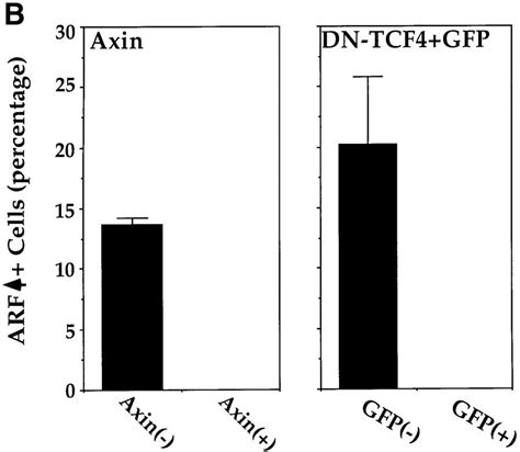 Deregulated Catenin Induces A P And Arfdependent Growth Arrest