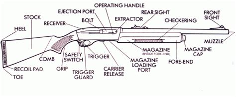 Guide To Buying A Second Hand Shotgun Gunstar