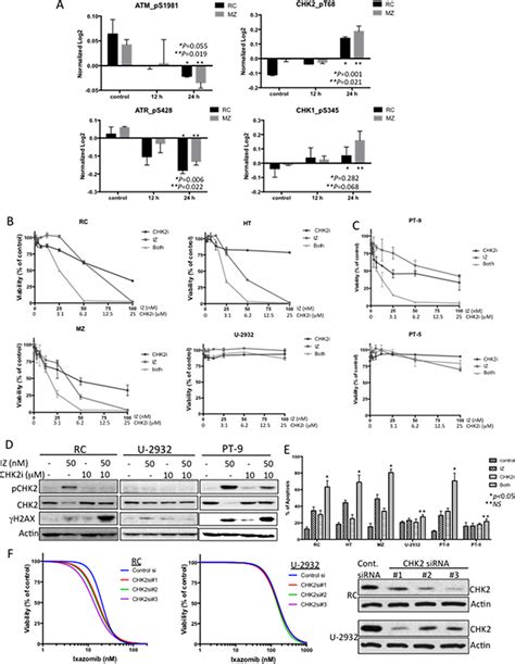 Preclinical Efficacy And Biological Effects Of The Oral Proteasome Inhibitor Ixazomib In Diffuse