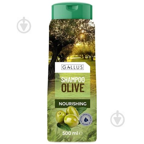 ᐉ Шампунь Gallus Olive / Оливковый для волос 500 мл • Купить в Киеве ...