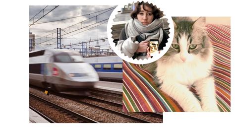 La Sncf Jug E Paris Apr S La Mort Du Chat Neko