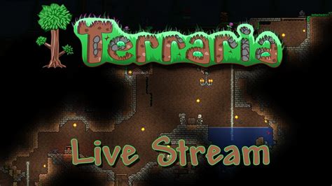 Terraria Live Expert Hardcore With Fans Road To 1540 Youtube