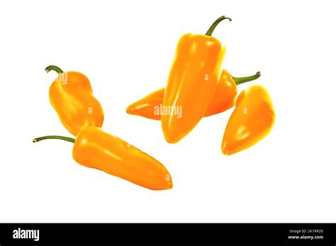 Group Of Yellow Hot Jalape O Peppers Isolated On A White Background Stock Photo Alamy