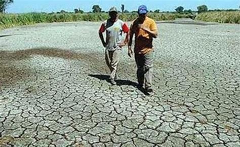 Declaran Emergencia Agropecuaria Por Sequ A En Buenos Aires Infoveloz