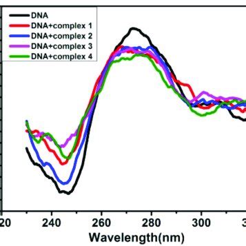 The circular dichroism spectra of CT DNA 100 µM in the absence and