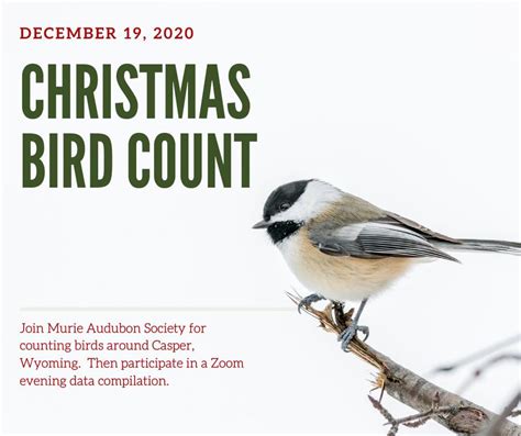 2020 Christmas Bird Count Murie Audubon