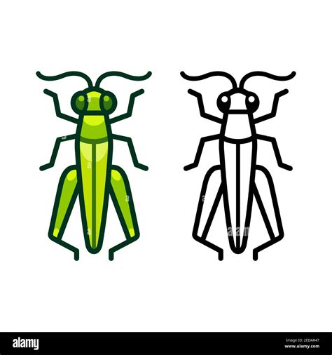 Vector Grasshopper Icon Or Logo Color And Black And White Symbol Simple Flat Design