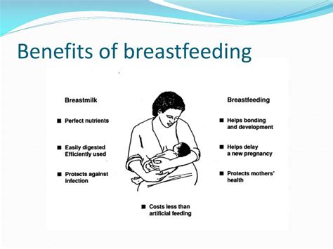 Ppt Human Breast Milk Powerpoint Presentation Free Download Id4268116