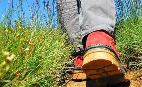 Aplazada La Ruta Por La Calidad Del Botillo Por La Previsi N De Lluvia