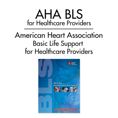 AHA BLS Healthcare Provider — Life Safety Training