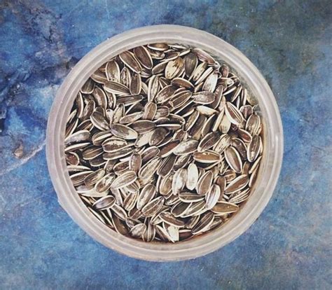 To Know About Russian Sunflower Seeds Lifestyle Foodies🍎