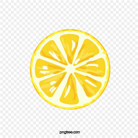 Hand Drawn Lemon Vector Design Images Hand Drawn Vector Fruit Yellow