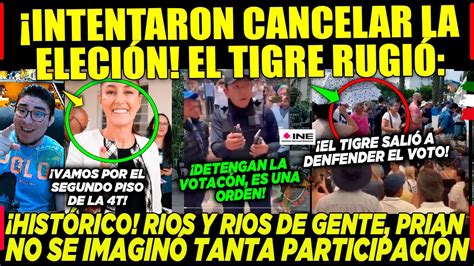 Cancelan Elecci N Pero El Tigre Se Levanta Prian Jam S Imagin Los