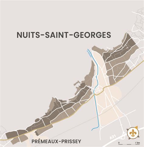 NUITS SAINT GEORGES PREMIER CRU LABOURÉ ROI