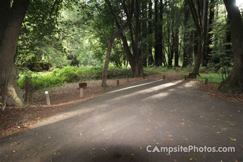 Navarro River Redwoods State Park Campsite Photos And Camping Info