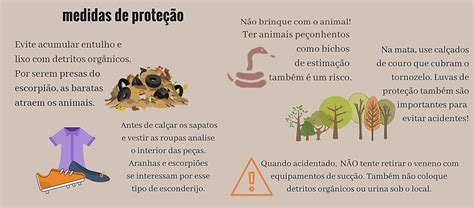 Acidentes Animais Venenosos Saiba O Que Fazer Terra Da Gente G