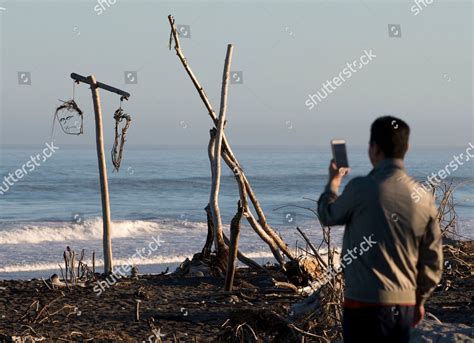 Tourist Takes Photos Driftwood Sculptures On Editorial Stock Photo ...