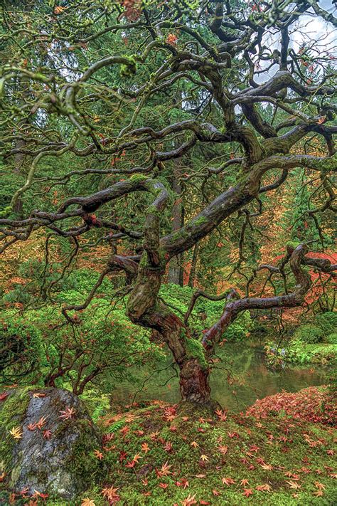 Naked Photograph By Kathleen Codinha Pixels