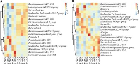 Heat Map Showing The Relative Abundance Of Dominant Bacteria At The