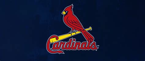 St Louis Cardinals Wallpaper 4k Baseball Team