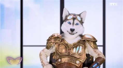 Mask Singer Vincent Niclo est il derrière le Husky Récap des