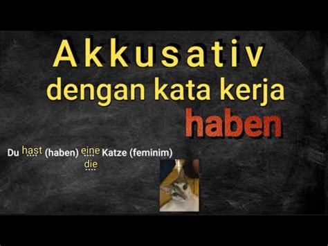 Belajar Bahasa Jerman Denganku Akkusativ Kata Kerja Haben Deutsch