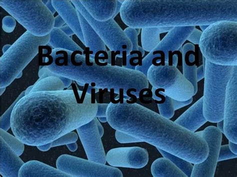 Ppt Bacteria And Viruses Powerpoint Presentation Free Download Id1932750