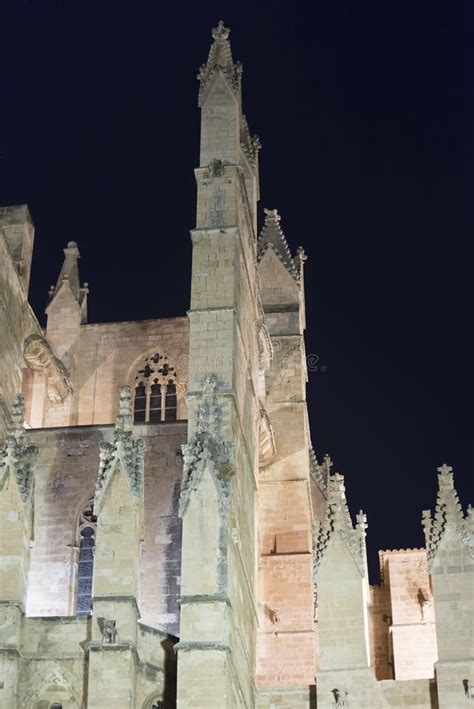 A Catedral De Santa Maria Palma De Mallorca Na Noite Foto De Stock