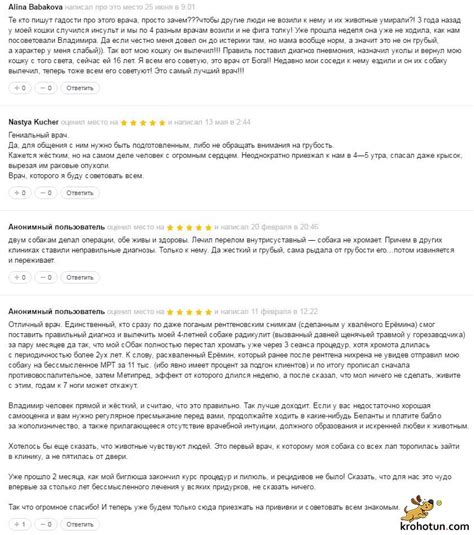 АбсолютВет: описание и отзывы пацинетов