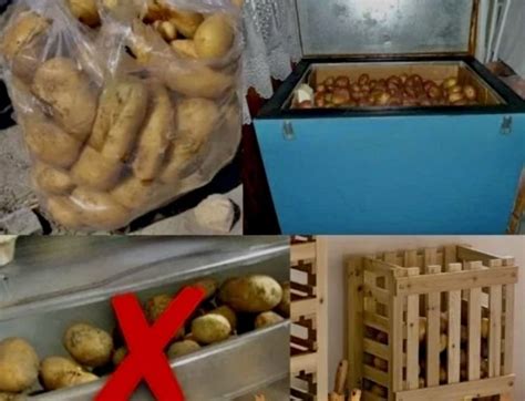 Рассмотрим как хранить картошку в гараже