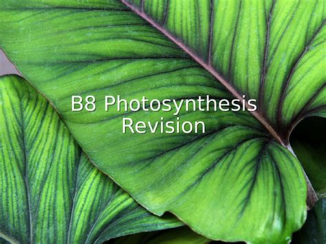 Aqa Gcse Biology 9 1 B8 Photosynthesis Revision Lesson Teaching