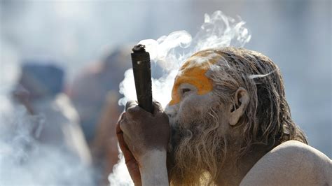 Drug data: Ganja, ganja everywhere but India's getting high on a lot ...