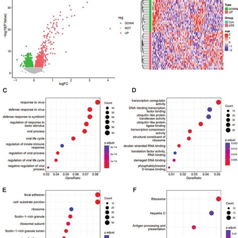 Differential Expression Genes DEGs And Functional Enrichment Analysis