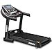 Buy Durafit Panther Hp Peak Dc Motorized Foldable Treadmill