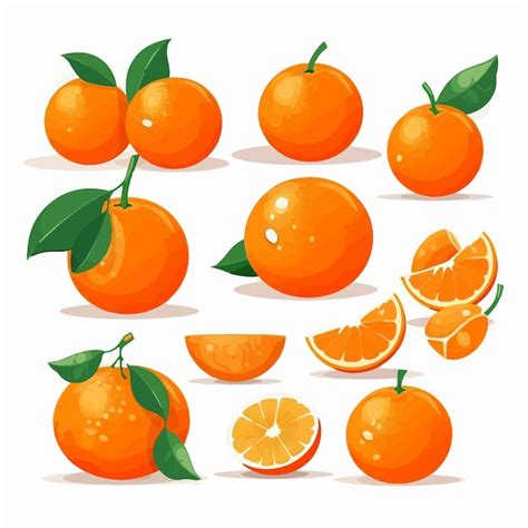 Un Conjunto De Ilustraciones De Mandarina En Formato Vectorial Listas