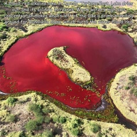 Pin By Johnny Rook On Nature Red Lake Turkana County Lake