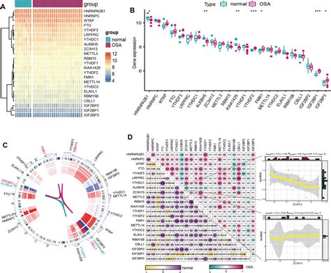 Frontiers Comprehensive Analysis Of N Methyladenosine Regulators In