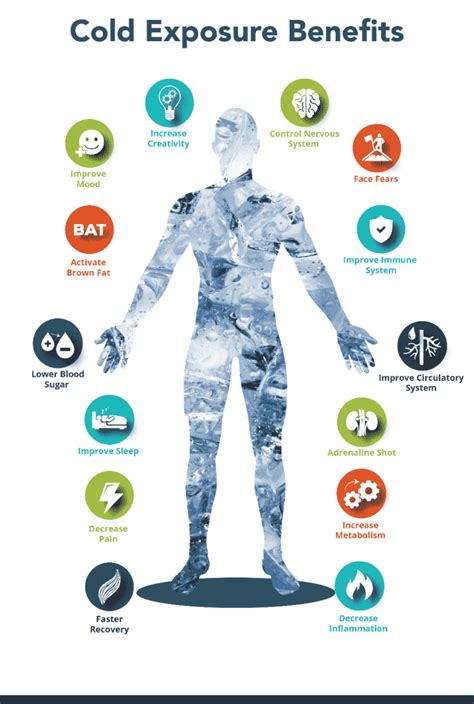 The Science Behind Ice Baths Exploring The Physiological Effects Of Cold Therapy