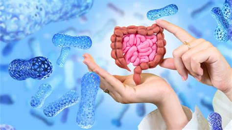 Microbiota Intestinal Importância na Saúde e no Emagrecimento