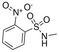 N Methyl 2 Nitrobenzenesulfonamide AldrichCPR Sigma Aldrich